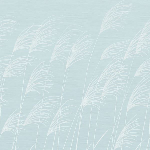 Miscanthus Wallpaper - 113232